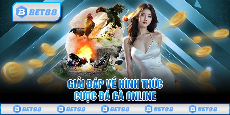 Cách Chơi Đá Gà Online Bet88 Giúp Bạn Tăng Khả Năng Thắng Lớn 1 Cách Chơi Đá Gà Online Bet88 Giúp Bạn Tăng Khả Năng Thắng Lớn