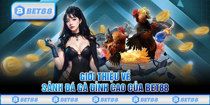 Đá Gà Bet88 - Đấu Trường Đẳng Cấp Uy Tín Và Minh Bạch Số 1 2 Các hình thức cược đá gà trên nhà cái Bet88