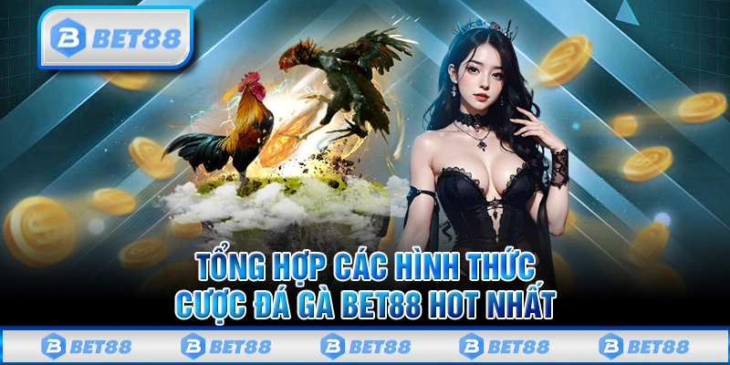 Đá Gà Bet88 - Đấu Trường Đẳng Cấp Uy Tín Và Minh Bạch Số 1 1 Đá Gà Bet88 - Đấu Trường Đẳng Cấp Uy Tín Và Minh Bạch Số 1